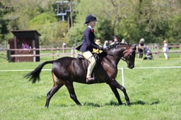 C19_1253 2026