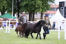 E44_0503 2026