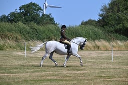 S60_0537 2026