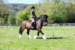 M19_0693 2026