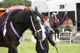 E36_1476 2026