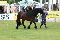 M44_0570 2026