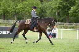 E30_5416 2026