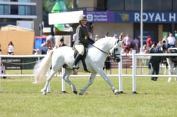 H47_0665 2026