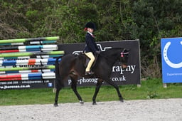 71 BSPS RIHS Show Pony First Ridden