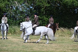 S60_0569 2026