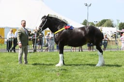 E33_4726 2026