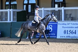 234 WHITFIELD’S BLUE BREEZE
