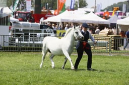 E34_1589 2026