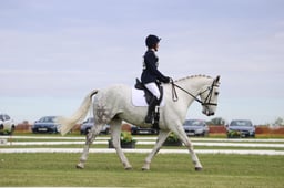 304 LAOIS DIAMOND