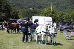 H250 Scurry Small