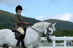 H8 HOYS Ridden Connemara