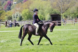C19_1481 2026
