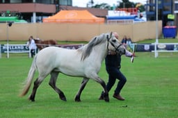 C44_0724 2026