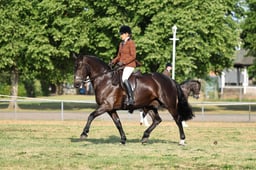 H65_0200 2026