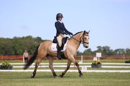 314 TOWERHILL SHAMIE