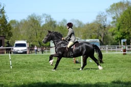 M19_0732 2026