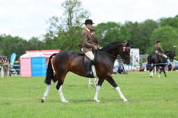 H36_8423 2026