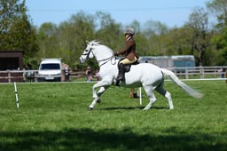 M19_0636 2026