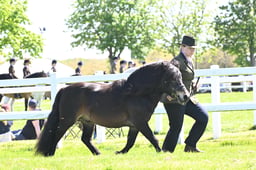 S19_8033 2026