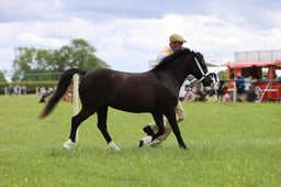 J36_7121 2026