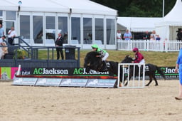 E48_6950 2026