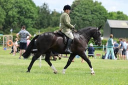 H36_8035 2026