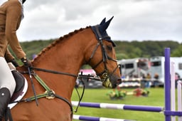 R39_0995 2026