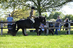 S19_8538 2026