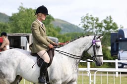 Z43_5197 2026