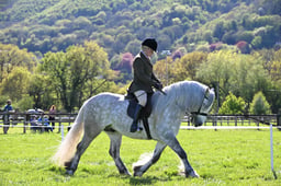 S19_8525 2026