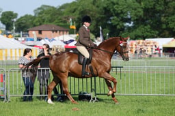 C33_0416 2026