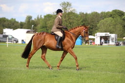 W36_2479 2026