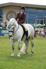 Ridden Highland Championship