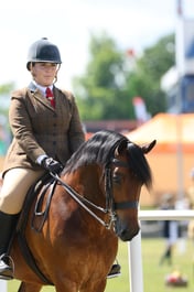 577 HOYS Ridden Welsh D
