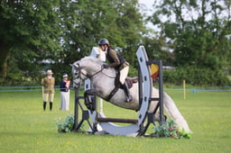 76 Novice Working Hunter Pony 55cms