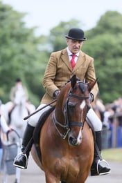 461 HOYS Lightweight Hunter