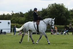 23 Side Saddle Open Equitation