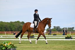 373 NIVARN A