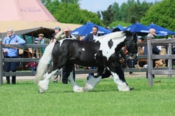 S28_9208 2026