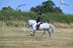 S60_0562 2026