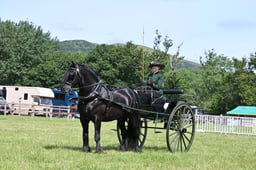 Driving Championship