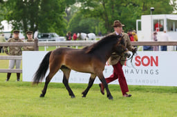 S29_0054 2026