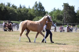 H60_0555 2026