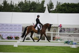 205 HICKSTEAD MUSTERD