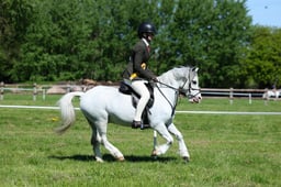 M19_0398 2026
