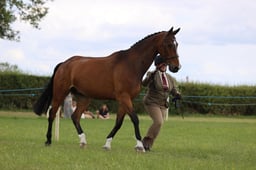 J36_7651 2026