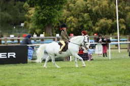 E30_4567 2026