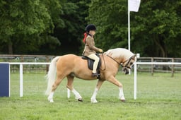E30_4450 2026