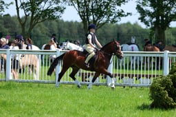 F33_0906 2026